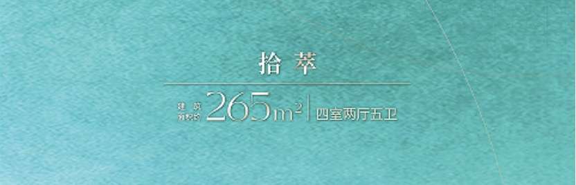 拾萃